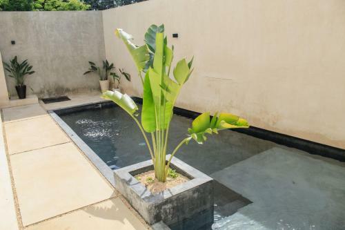 Beautiful And Relaxing Apartment In Tulum 50 Mgb