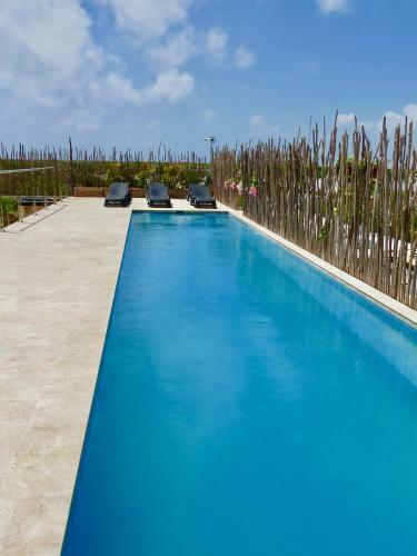 Apartamento Estudio Carpe Diem By Nah