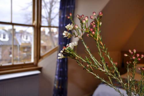 Hostal Ashdene House