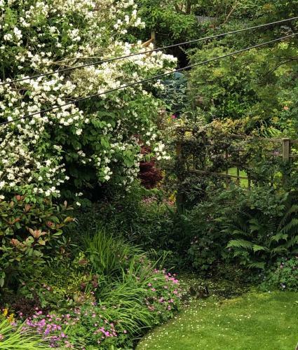 Hostal Ashdene House