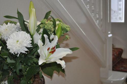 Hostal Ashdene House