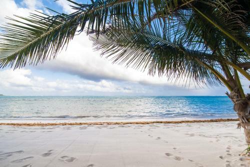Elements Tulum Beachfront Villa