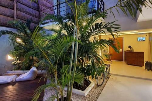 Apartamento Live The Jungle In Tulum Perfect Studio Wifi And Pool