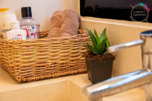 Apartamento Live The Jungle In Tulum Perfect Studio Wifi And Pool