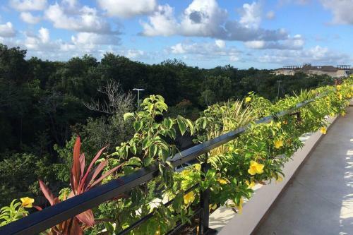 Apartamento *new York Jungle Loft* *private Pool*