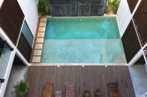 Apartamento *new York Jungle Loft* *private Pool*