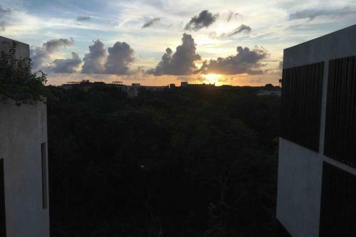 Apartamento *new York Jungle Loft* *private Pool*