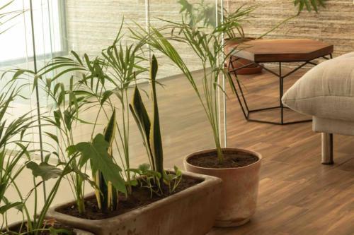 Apartamento *new York Jungle Loft* *private Pool*