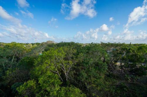 El Vivero, Beautiful Apartment In Tulum A2