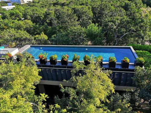 Luxury Apartments At Arcadia