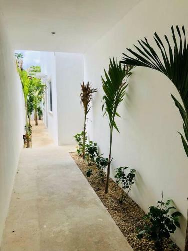 Apartamento Departamento #5 Con Jacuzzi Privado