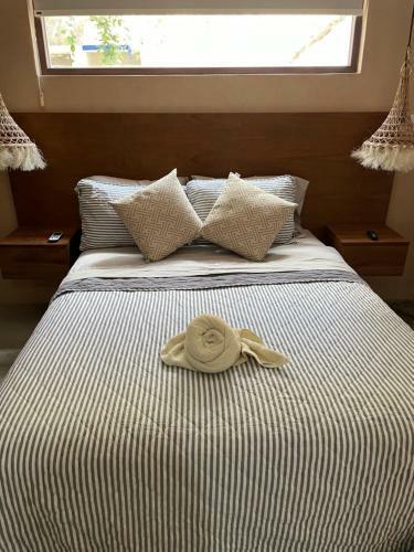 Taanah Poolview 1br Apartment Ecochic