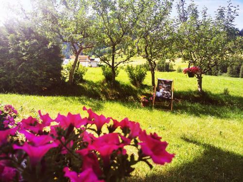 Apartamento Abenteuerhof