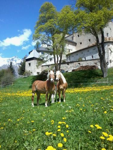 Apartamento Schlossm�hle