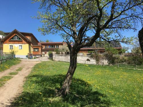Apartamento H�dahof Niemtal