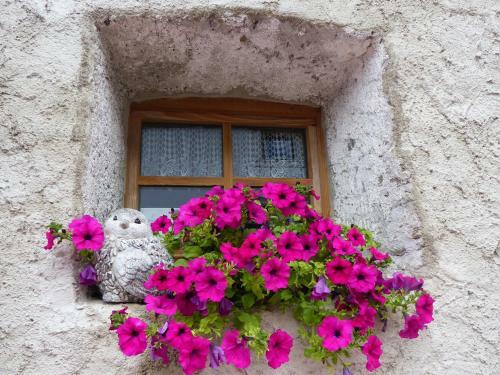 Apartamento Multererhof