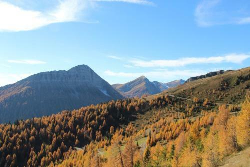 Apartamento Villa Alpenchic