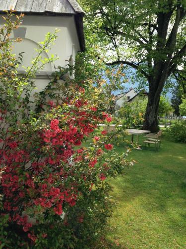 Apartamento Villa Alpenchic