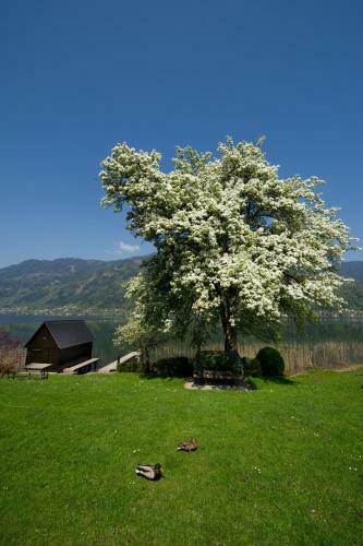 Apartamento Villa Alpenchic