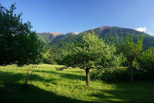Apartamento Guesthouse Schoba Typ B