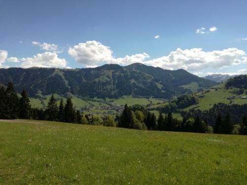 Apartamento Ferienwohnung Aschaber