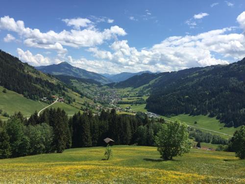 Apartamento Sonnenalp Mountainview 4*