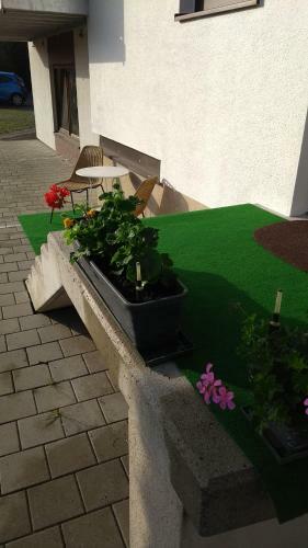 Apartamento Landhaus Elisabeth