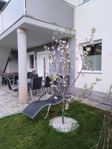 Apartamento Bergblick Niedernsill