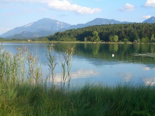 Apartamento Ferienwohnungen Starmuz