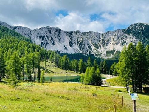 Apartamento Ferienwohnungen Starmuz