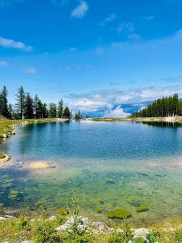 Apartamento Ferienwohnungen Starmuz