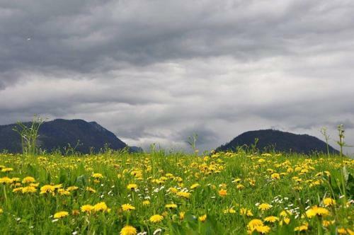 Apartamento Greenheart Aussee