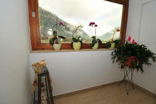 Apartamento Pension Christophorus