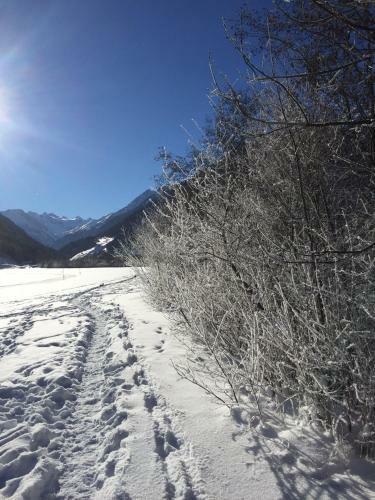Apartamento Alpenecho