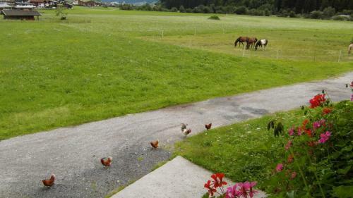 Agroturismo Luenerhof