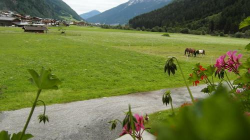 Agroturismo Luenerhof