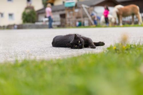 Agroturismo Hieserhof