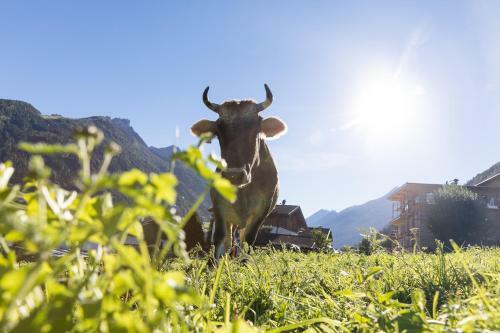 Agroturismo Hieserhof