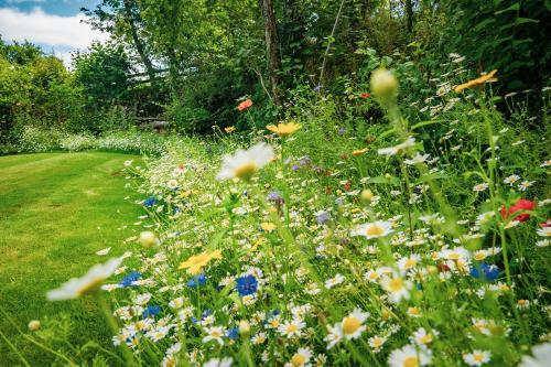 Weeke Brook - Quintessential Thatched Luxury Devon Cottage