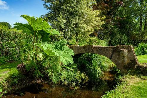 Weeke Brook - Quintessential Thatched Luxury Devon Cottage