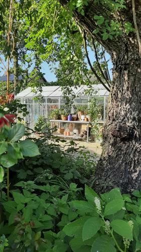 Bed & Breakfast Casa Di Fiore