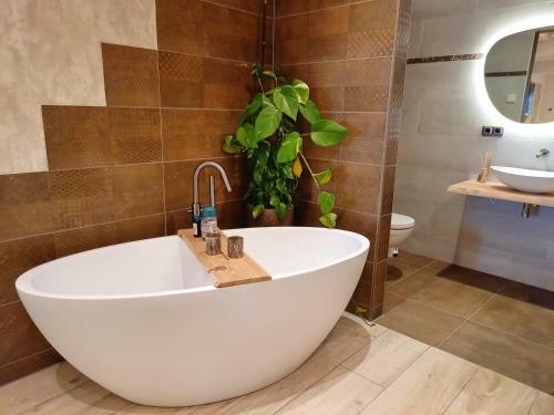 Apartamento Suite Pura Vida