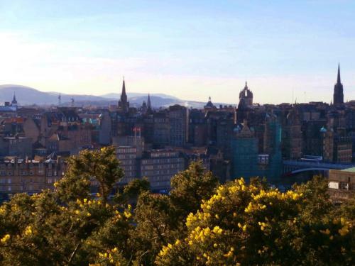Calton Apartments