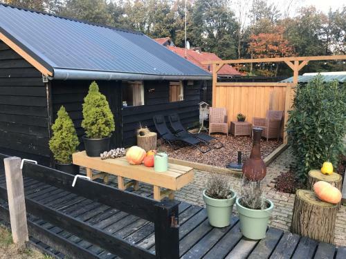 Veluwse Bos En Heide Studio