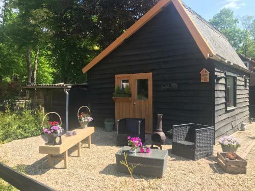 Veluwse Bos En Heide Studio