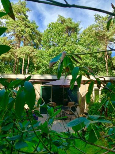 Zonnebos, Private Garden, Fresh Air, Relax!