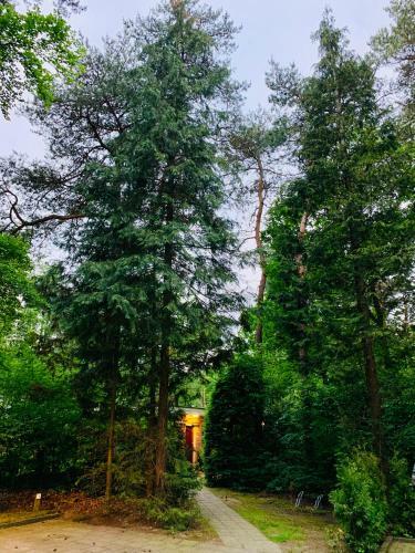 Zonnebos, Private Garden, Fresh Air, Relax!