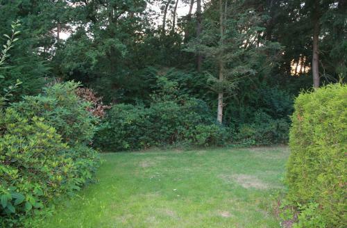 Apartamento Bungalow Hartje Veluwe