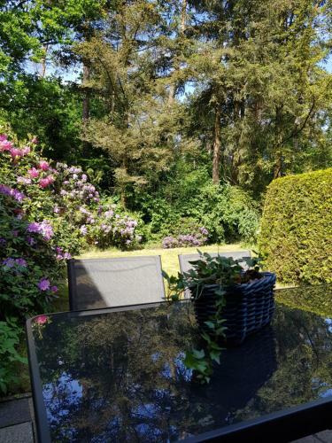 Apartamento Bungalow Hartje Veluwe