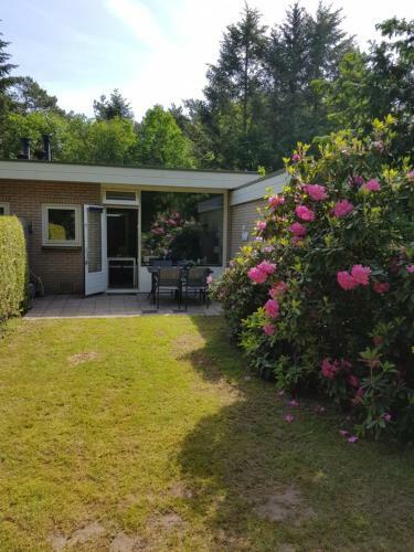 Apartamento Bungalow Hartje Veluwe